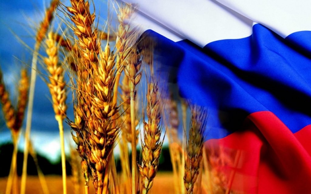 Путин утвердил новую Доктрину продовольственной безопасности России
