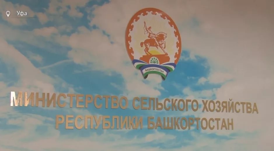 «Для аграриев – это возможности»: министр сельского хозяйства Республики Башкортостан о кризисе