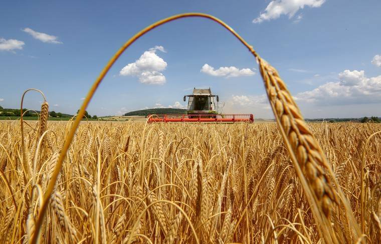 Башкирия увеличит урожай зерна до 4 млн тонн за счет новых земель
