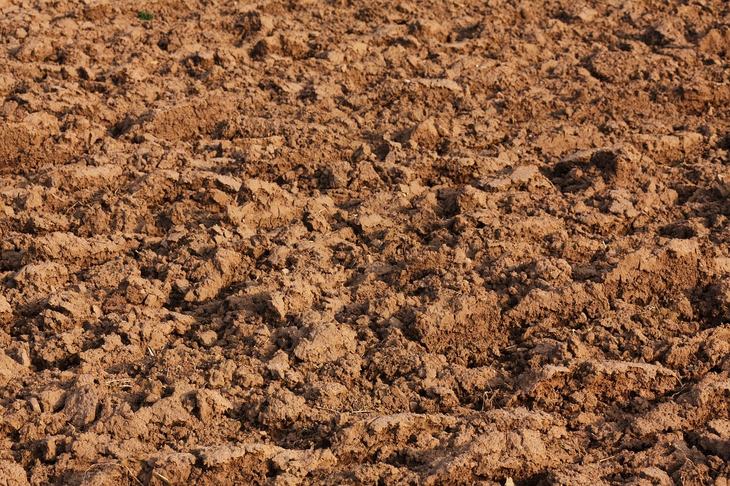 Почва пускает газы: новую технологию почвенного теста создал ученый из США