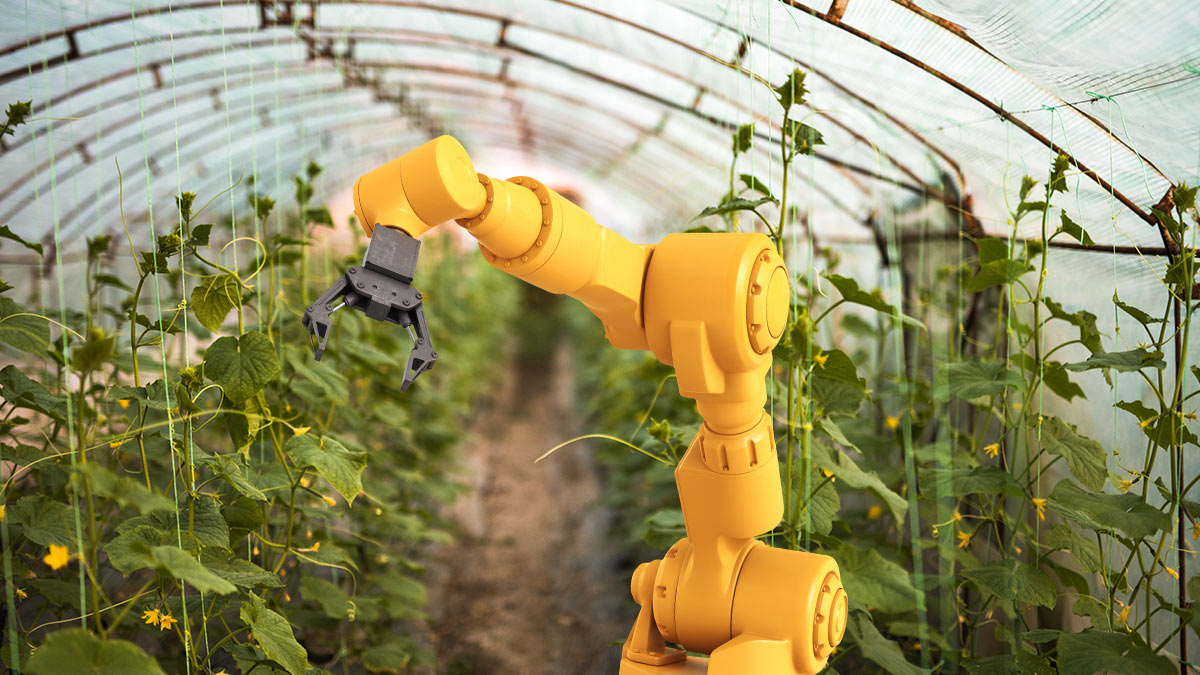 Через 30 лет российское сельское хозяйство будет роботизированным