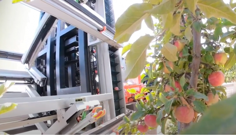 Сбор урожая фруктов с помощью роботов – в 10 раз быстрее человека – EastFruit