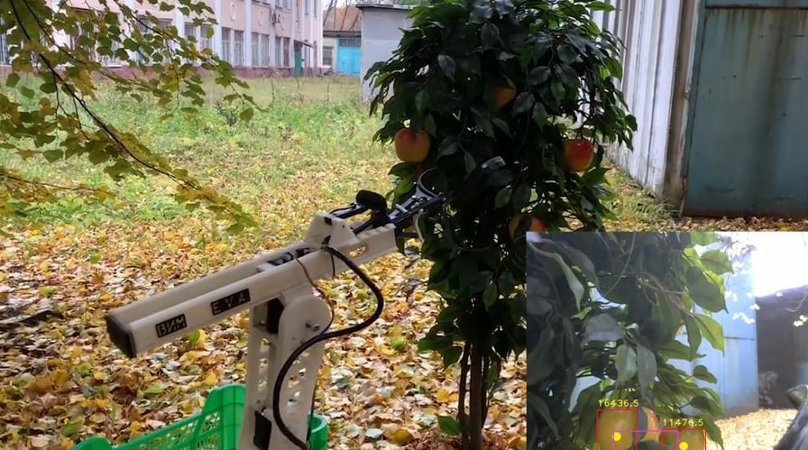 Российские ученые создали робота для сбора яблок