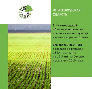 В Нижегородской области завершен сев основных сельхозкультур, началась кормозаготовка