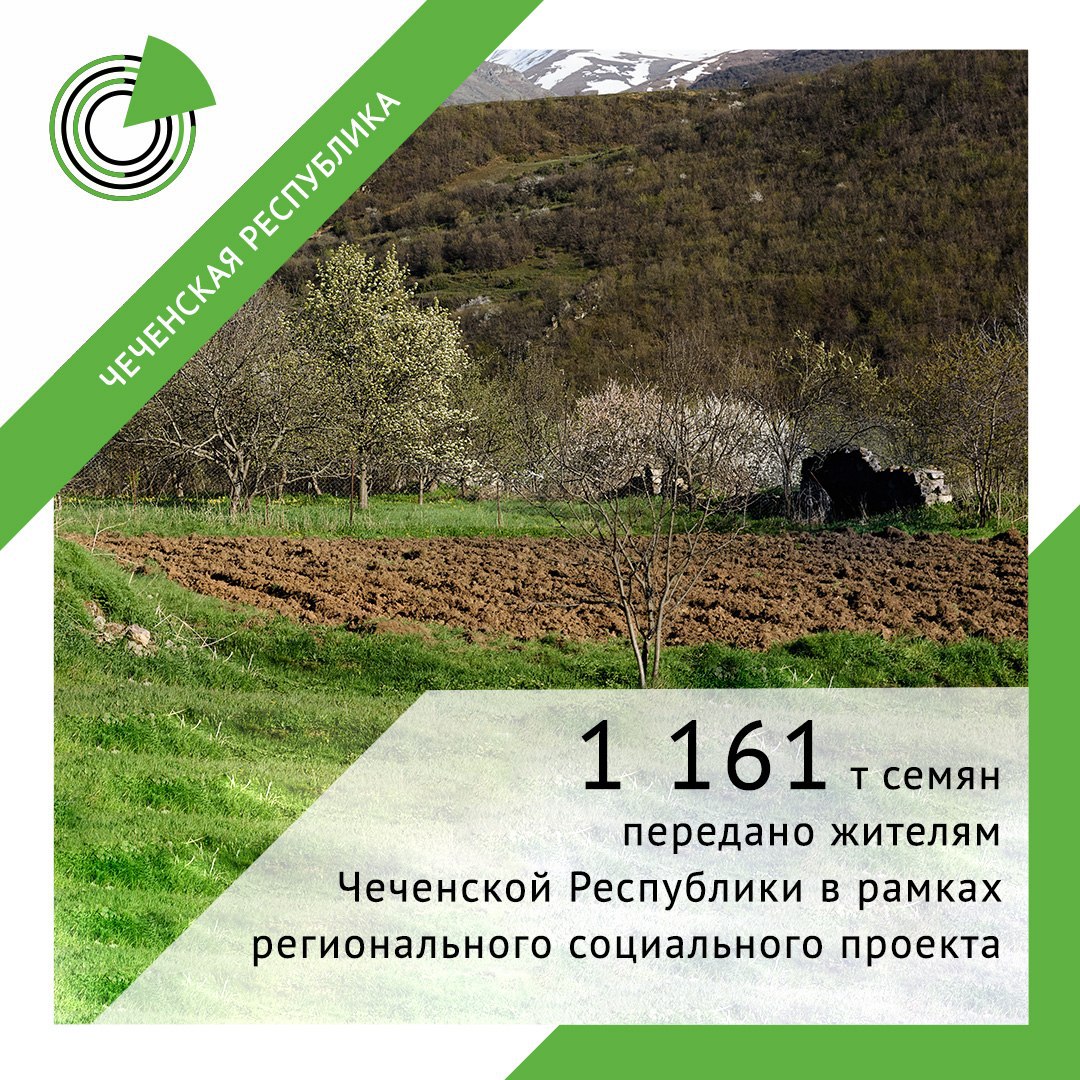 В Чечне впервые реализуется региональный социальный проект в сфере сельского хозяйства
