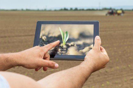 «Русагро» создаст цифровые сервисы для аграриев