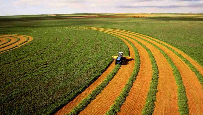 ​Компания Александра Ткачева стала третьим в РФ владельцем сельхозземель
