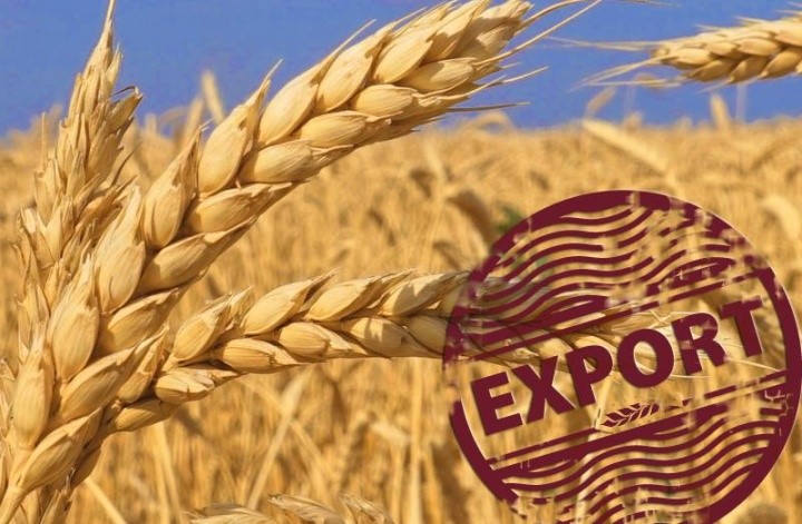 Программу расширения экспорта сельхозпродукции разработают на Ставрополье